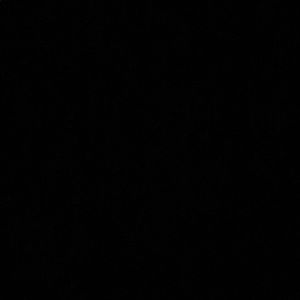 Meet your Posher, Bailey